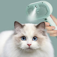 Cat Grooming & Hygiene