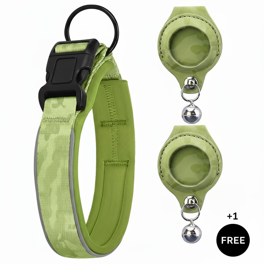 Green dog collar with reflective strip and matching clip on a white background