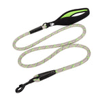 Dog leash with gray pattern and black handles on a white background