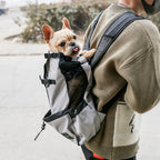 A small dog in a carrier bag being worn on a person's back. The carrier bag is gray with black straps, and it appears to be made of a durable fabric.