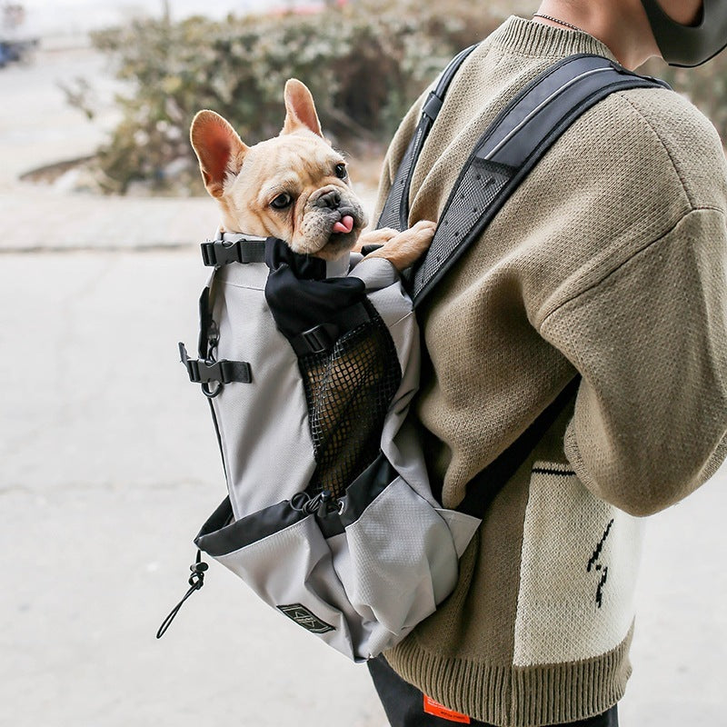 A small dog in a carrier bag being worn on a person's back. The carrier bag is gray with black straps, and it appears to be made of a durable fabric.