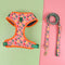 Dog harness and leash set with floral pattern on a green and pink background