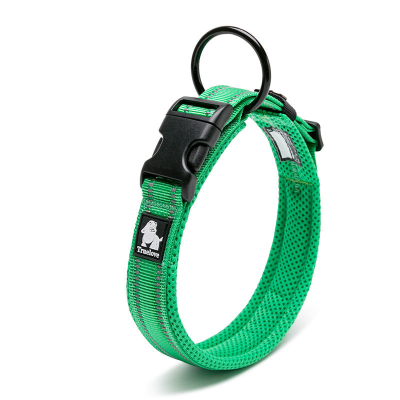 Green dog collar with black buckle on a white background