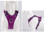 Premium Waterproof CORDURA® Reflective Dog Harness with Duraflex® Buckles