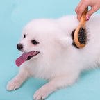 Truelove Double-Sided Pet Brush