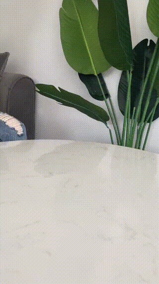 Pet Spray Massage Comb – 2-in-1 Grooming & Mist