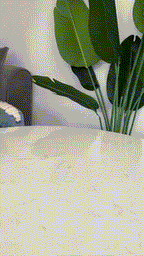 Pet Spray Massage Comb – 2-in-1 Grooming & Mist