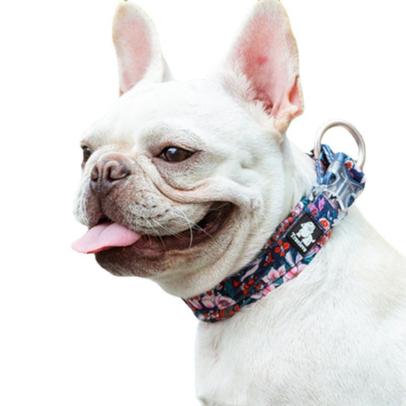 White dog wearing a colorful floral-patterned collar on a white background