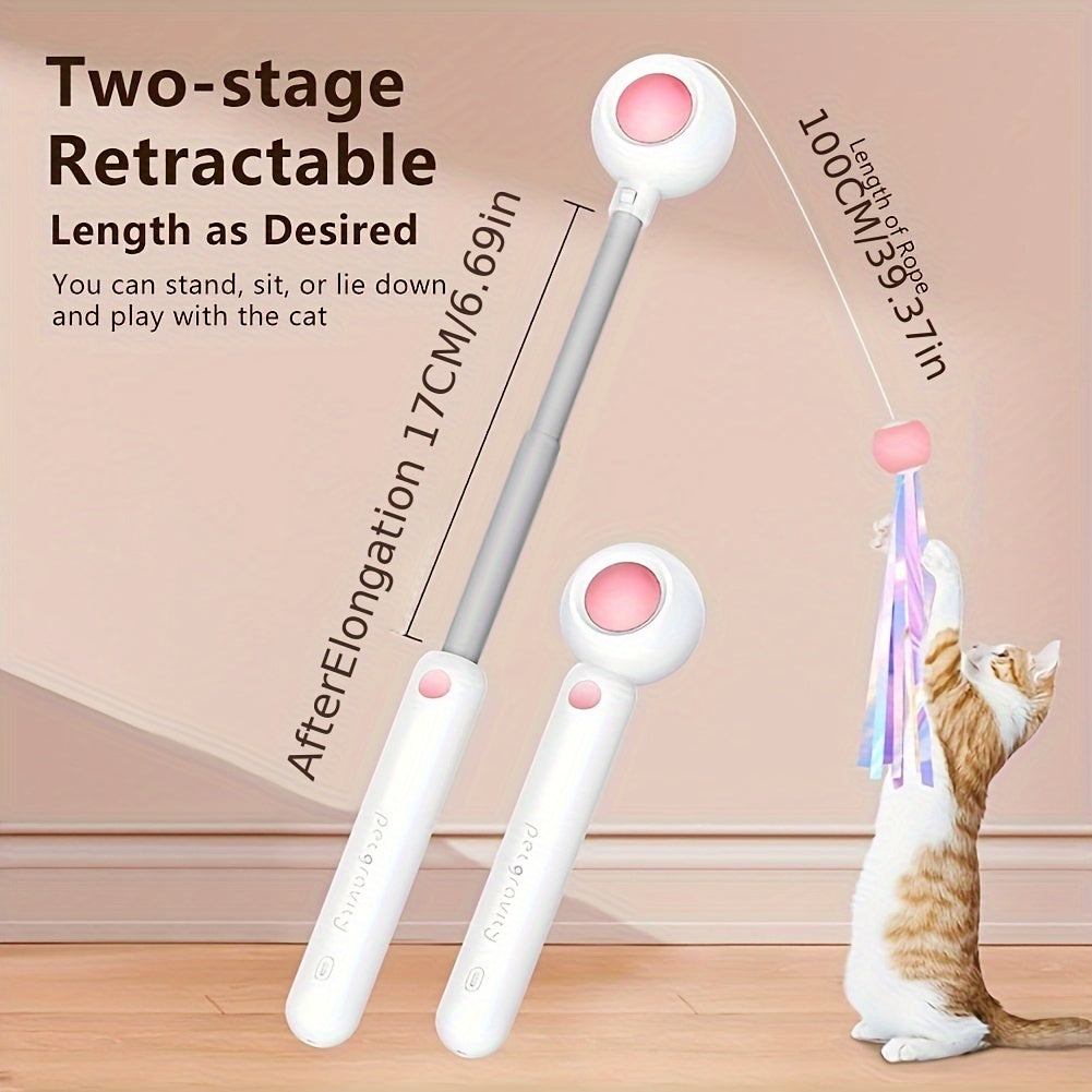 Retractable Feather & Tassel Cat Wand Toy