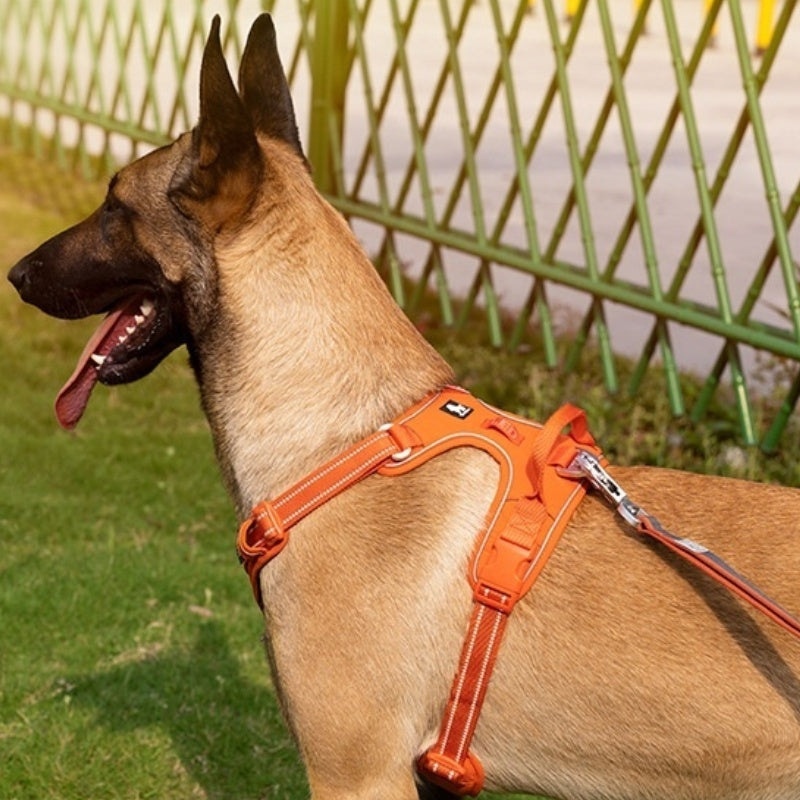 Truelove Ultra-Durable CORDURA Harness with Reflective Straps