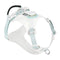 Dog harness with light blue straps on a white background