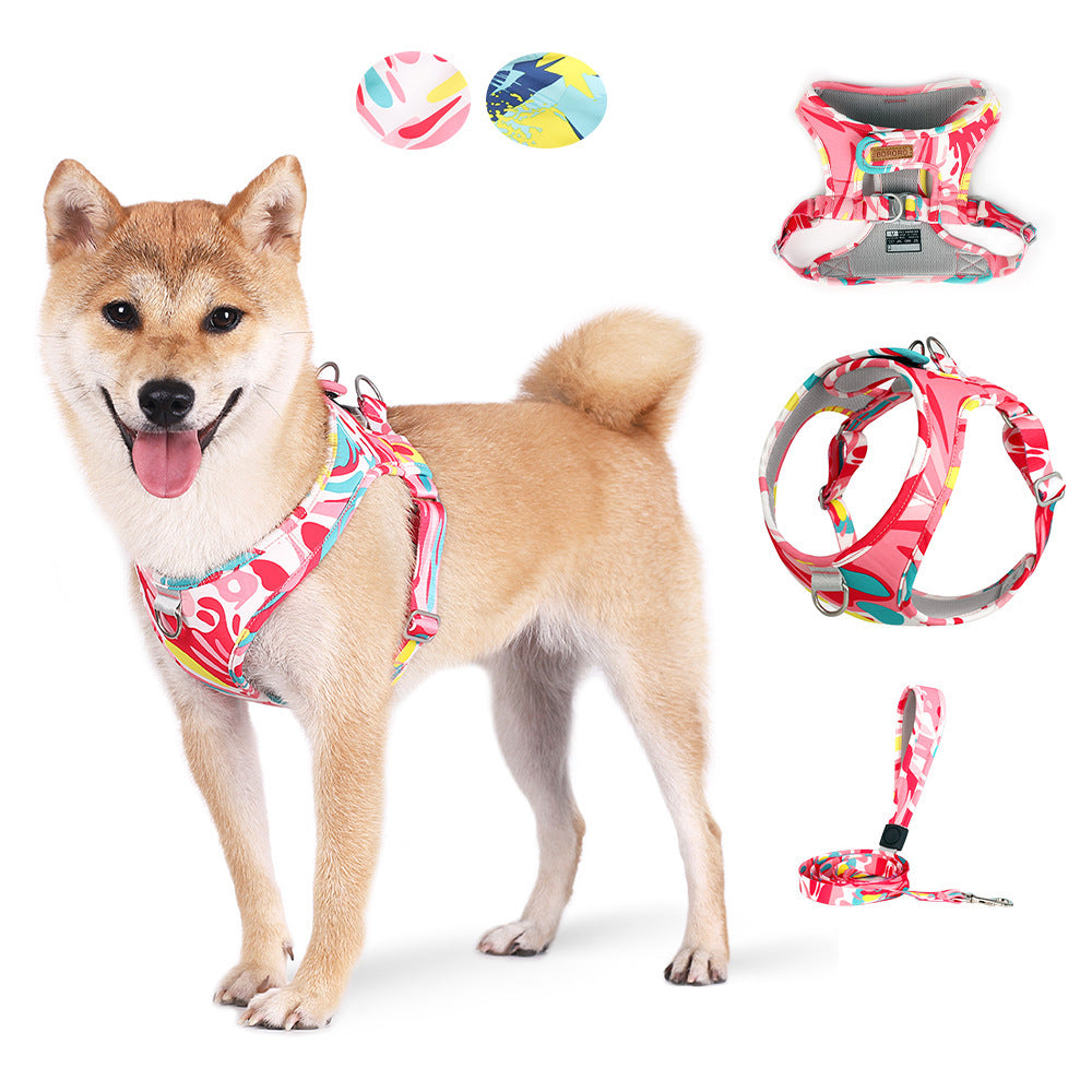 Dog wearing a colorful harness with matching ball and leash on a white background