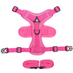 Reflective Adjustable Mesh Pet Harness and Leash Set