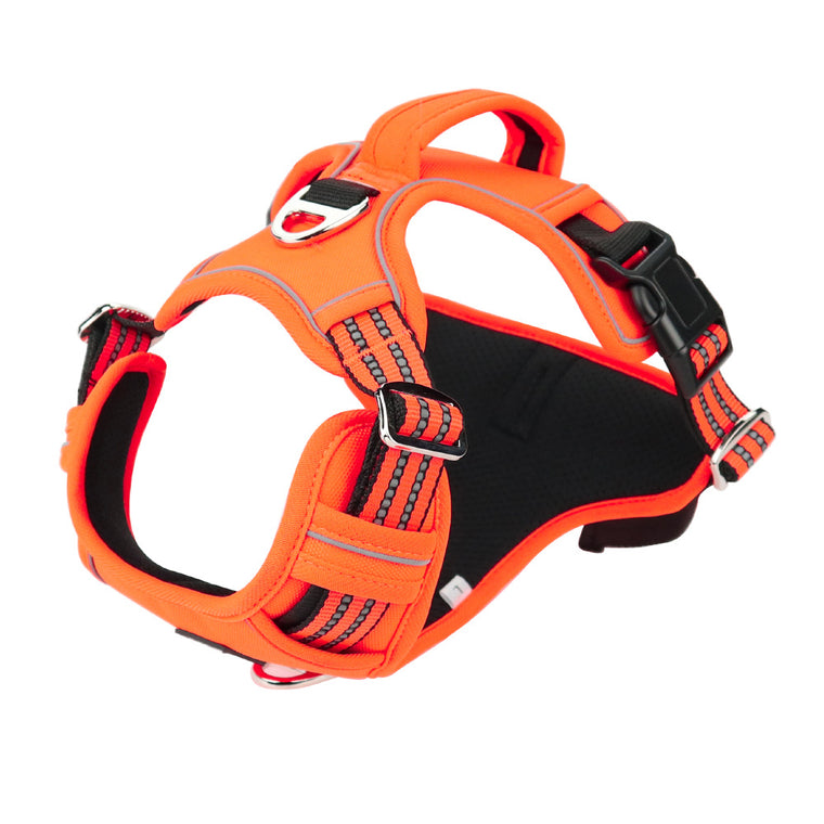 Reflective Dog Harness with Dual Leash Attachment