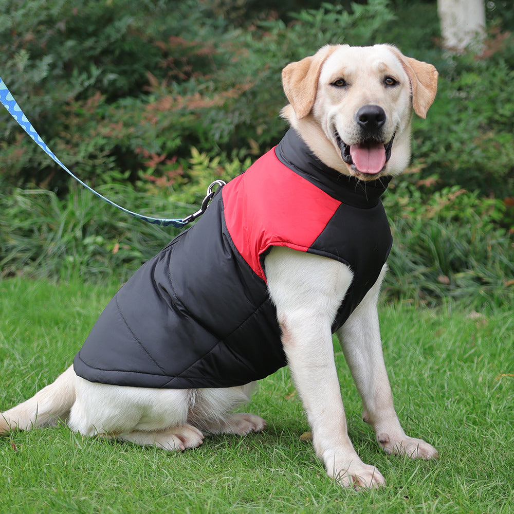 Dog wearing a black and red puffer vest sitting on grass