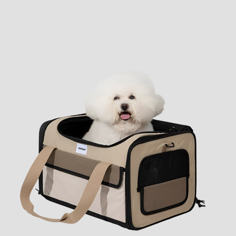 Foldable Portable Pet Travel Bag – Airline-Friendly Nylon Carrier