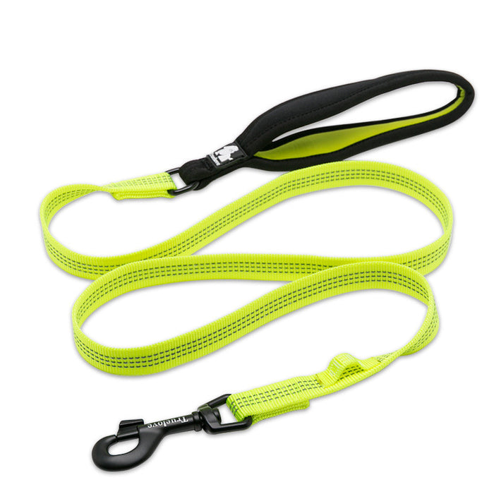 Truelove Pet Reflective Leash