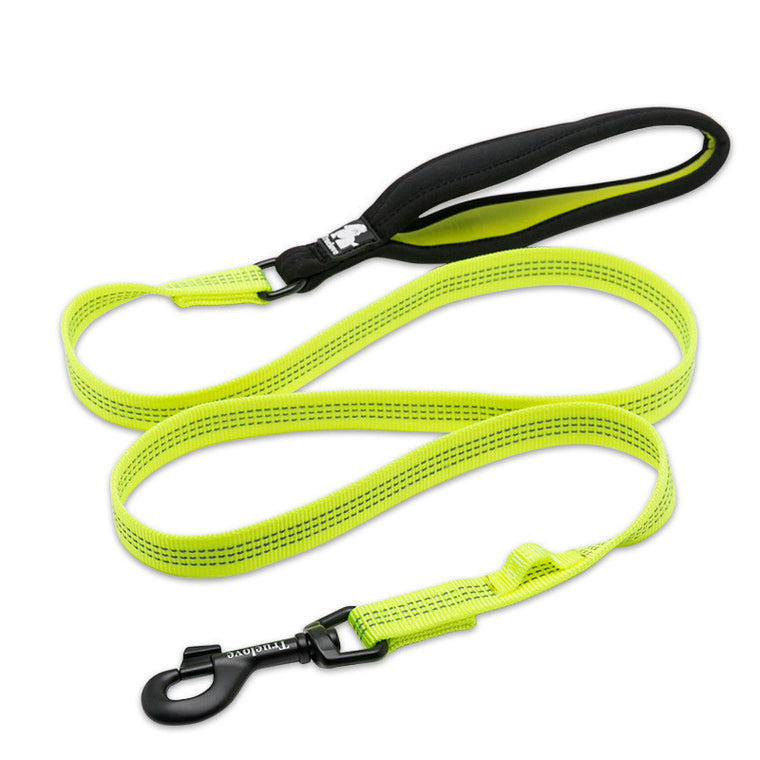 Truelove Pet Reflective Leash