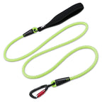 Truelove Climbing Rope Dog Leash – Comfortable & Durable Design