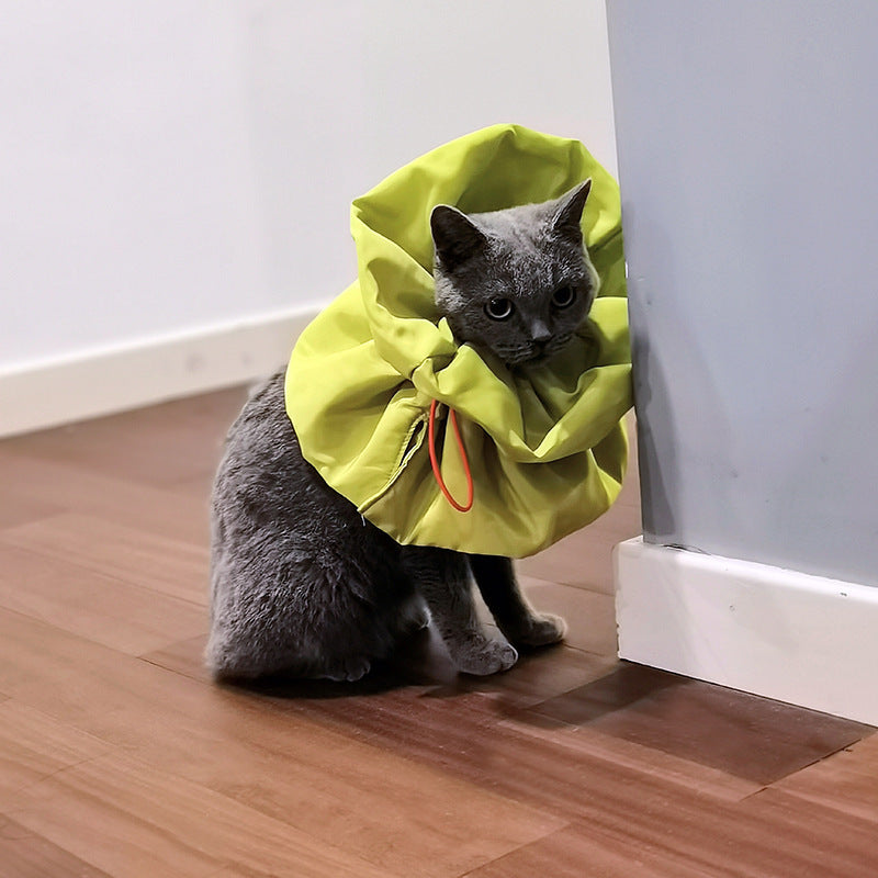 Soft Adjustable Cat Recovery Collar