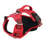 Reflective Dog Harness with Dual Leash Attachment