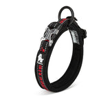 Truelove Reflective Padded Dog Collar