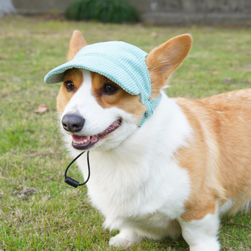 PupCap Corduroy Dog Hat