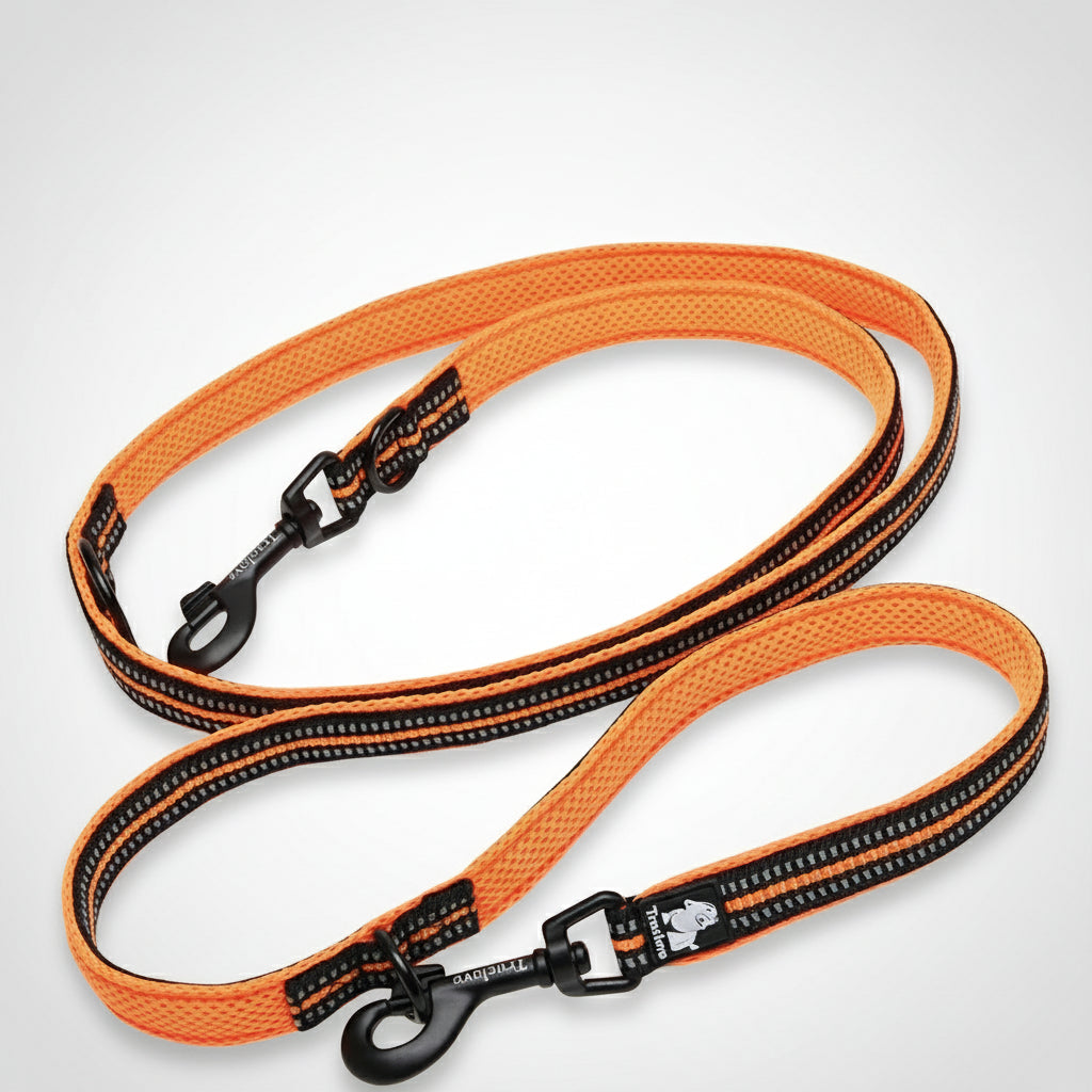 Truelove 7-in-1 Reflective Multi-Function Dog Leash – Hands-Free, Double Leash & Adjustable Length