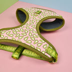 Lovesea Harness and Leash Set for Medium &amp; Large Dogs