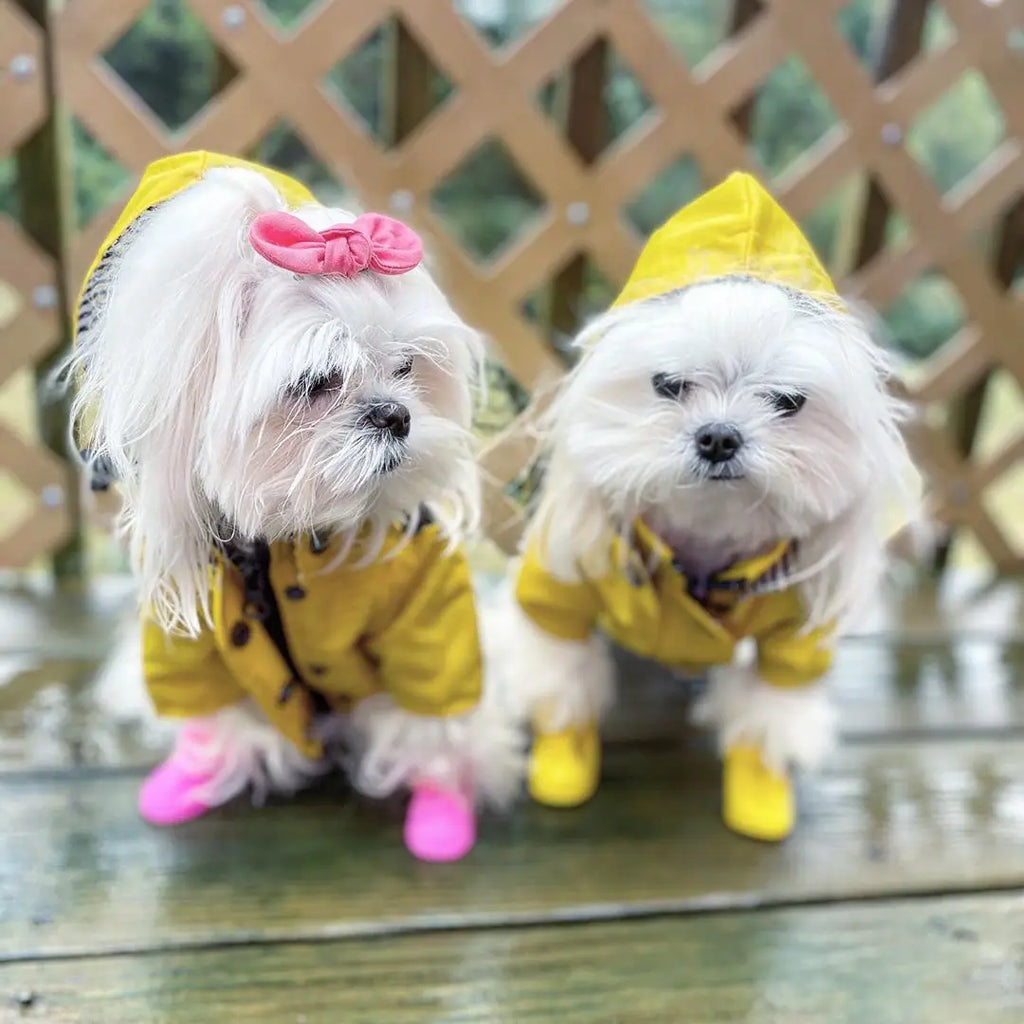 Waterproof Dog Raincoat – Pet Jacket for Small to Large Dogs