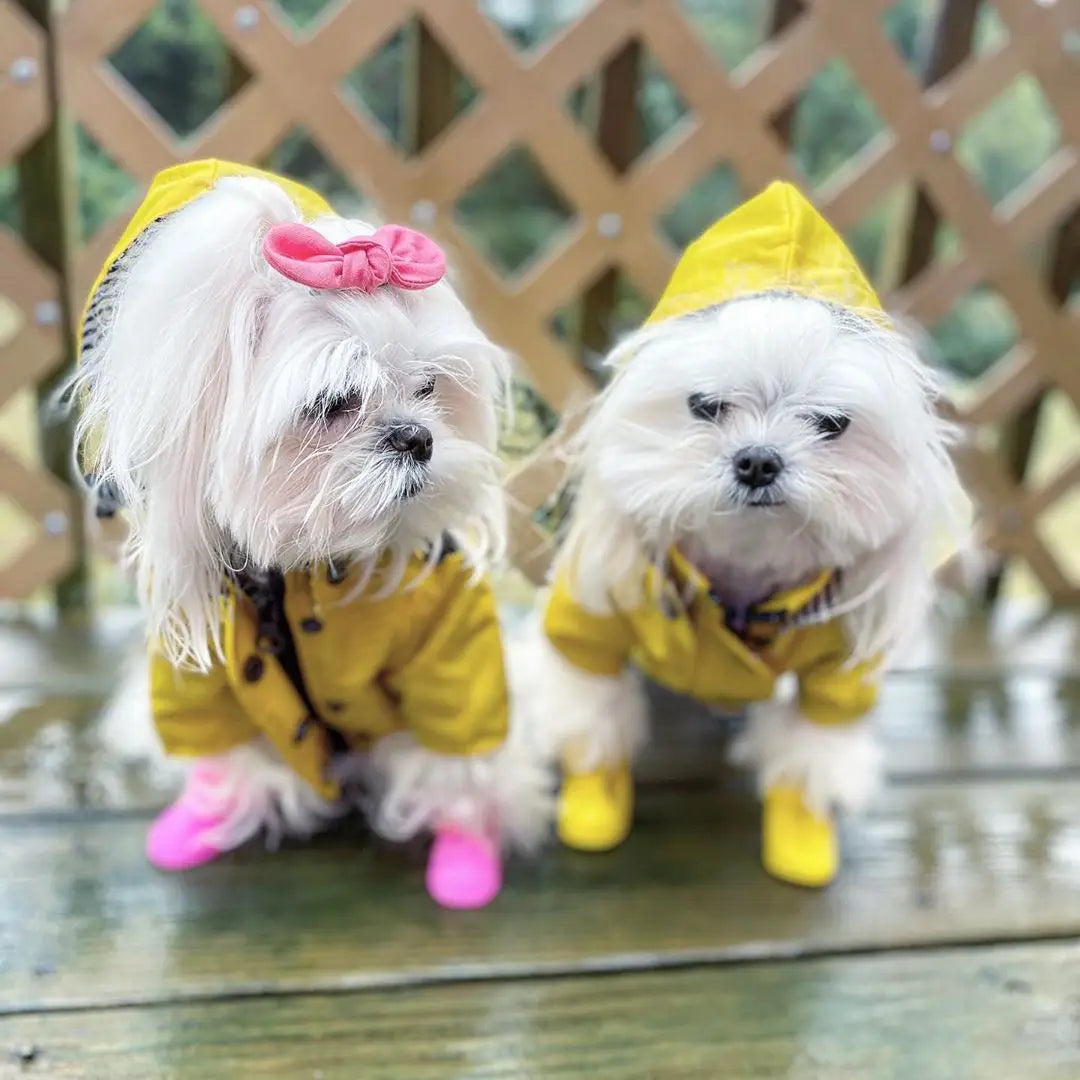 Waterproof Dog Raincoat – Pet Jacket for Small to Large Dogs