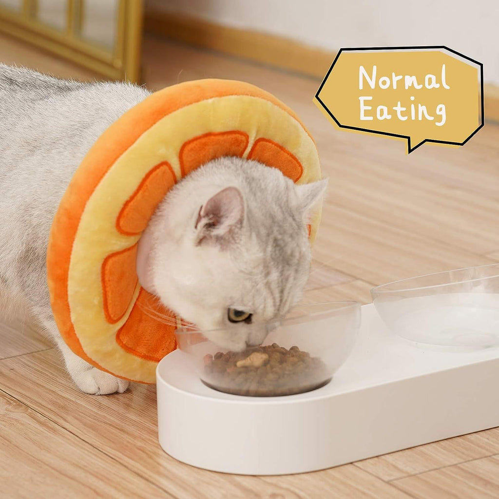 Cat eating from a bowl with a pet feeder shaped like a pizza on a wooden floor.