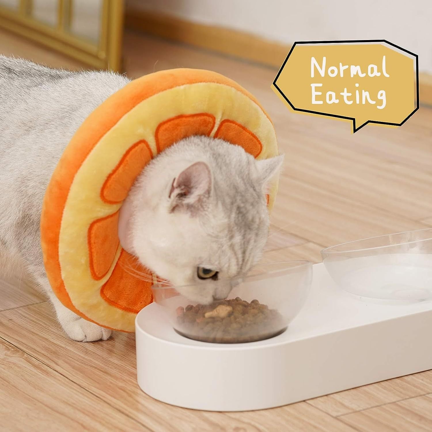Cat eating from a bowl with a pet feeder shaped like a pizza on a wooden floor.