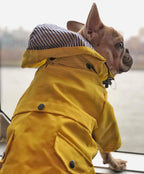Waterproof Dog Raincoat – Pet Jacket for Small to Large Dogs
