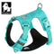 Truelove CORDURA® Explosion-Proof Dog Harness