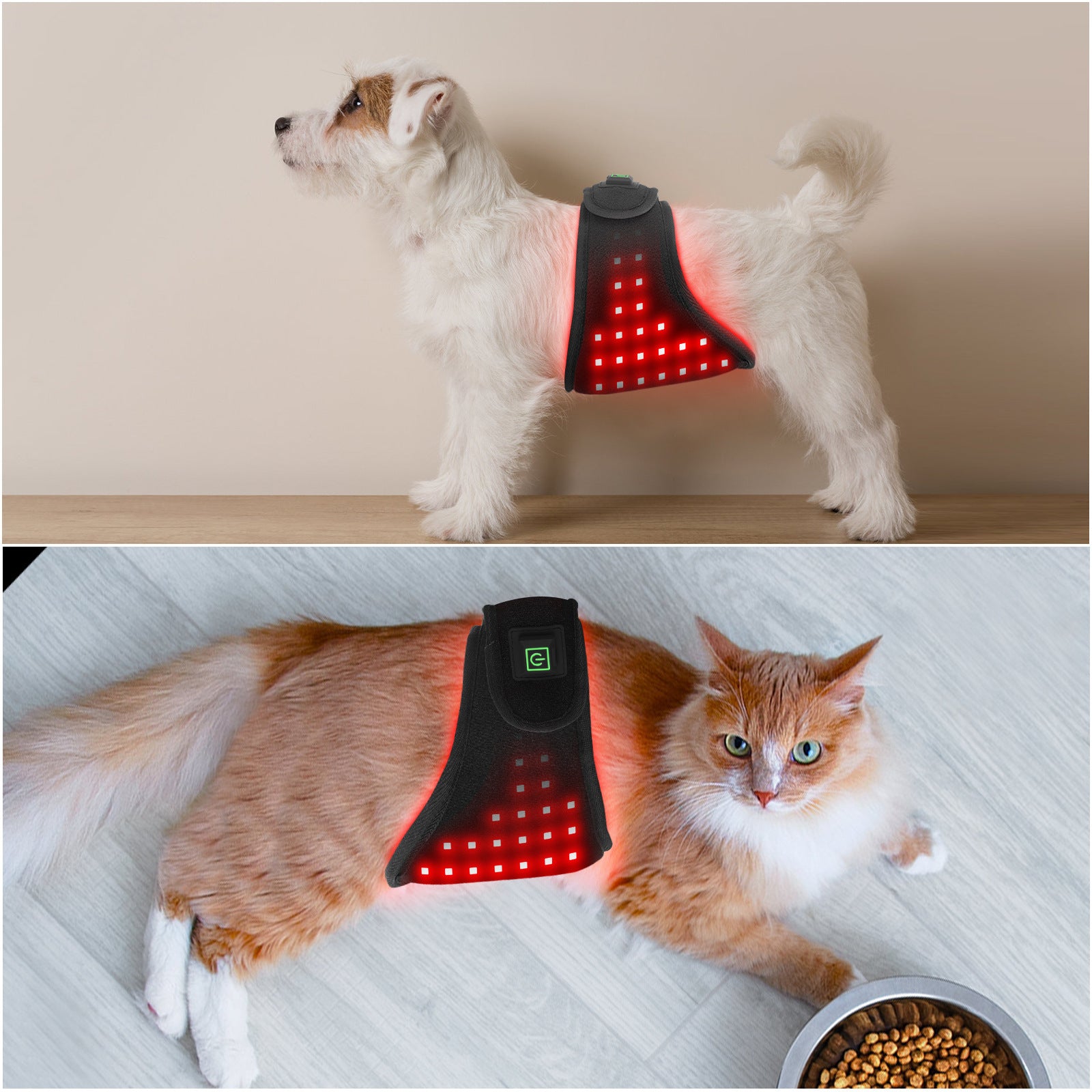 Pet Red Light Belt Physiotherapy Infrared