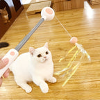 Retractable Feather & Tassel Cat Wand Toy