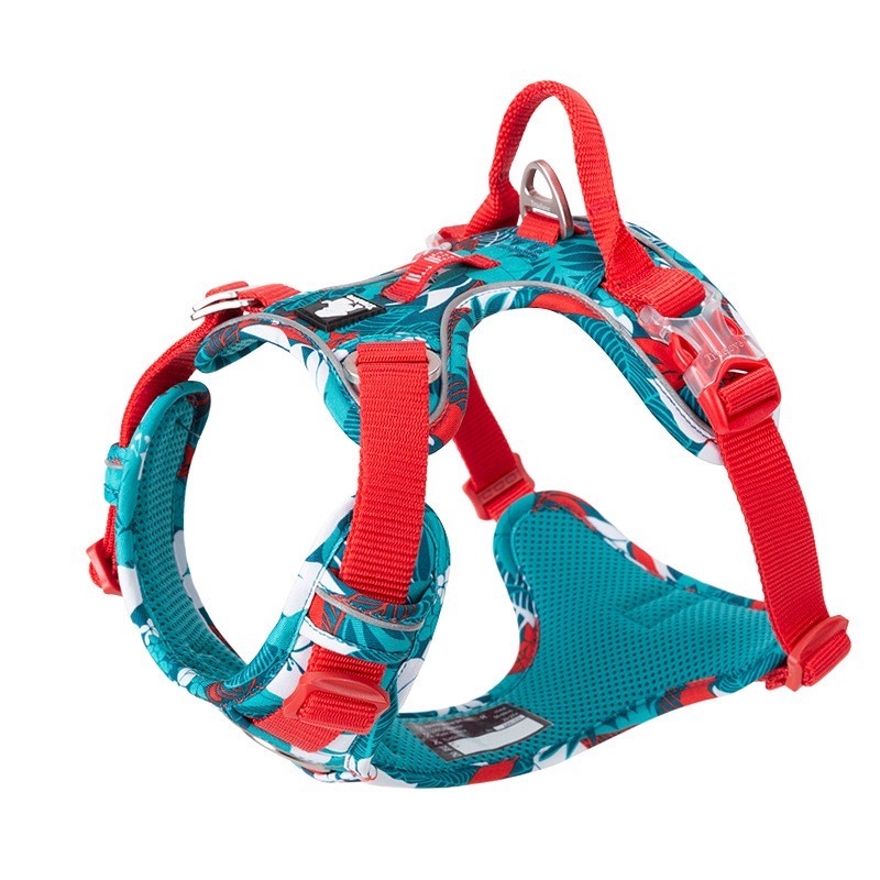 Dog harness with red and blue pattern on a white background