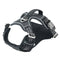 Reflective Dog Harness with Dual Leash Attachment