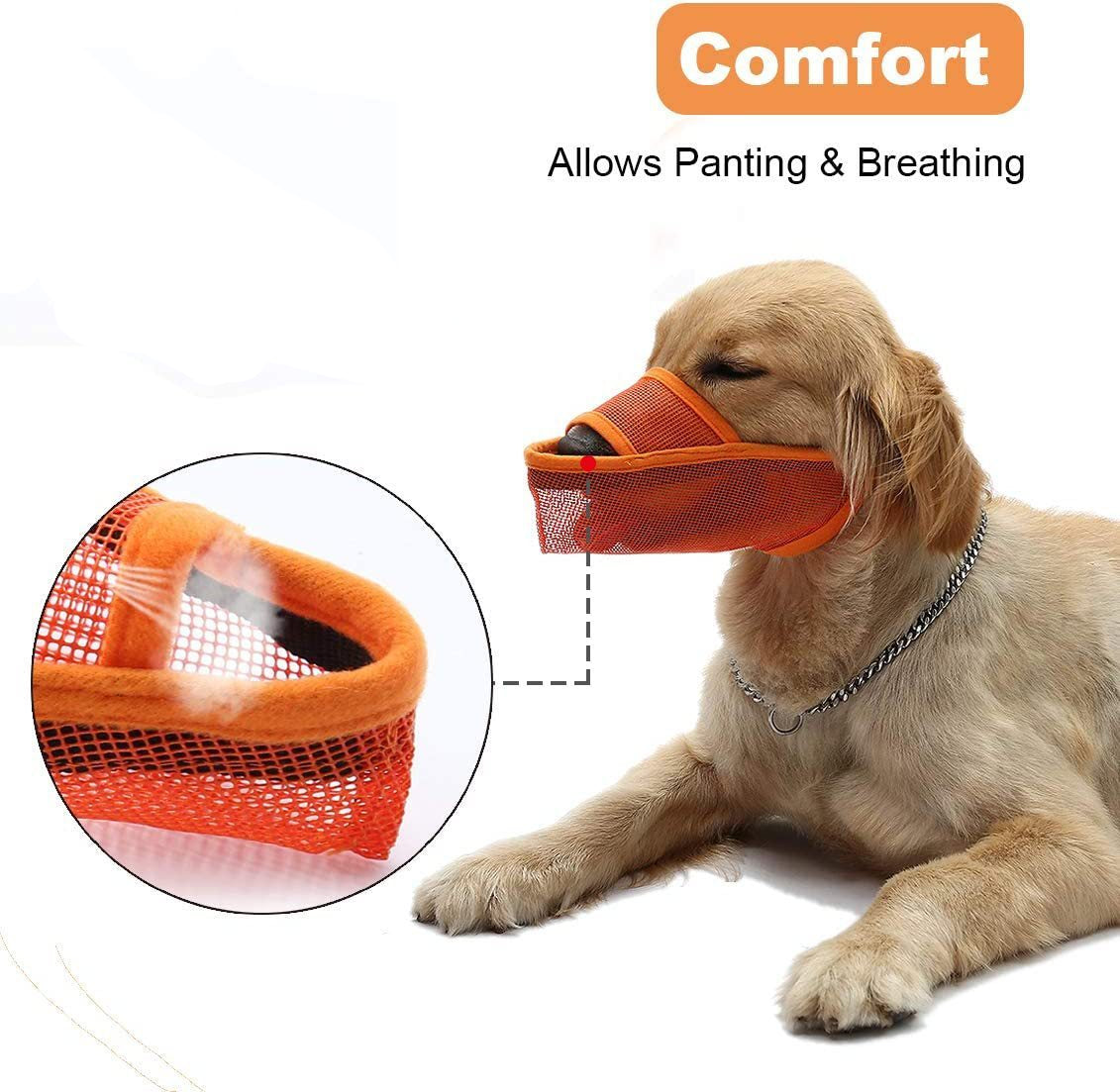 Dog wearing an orange mesh muzzle with a close-up of the muzzle and a hand holding a pen.