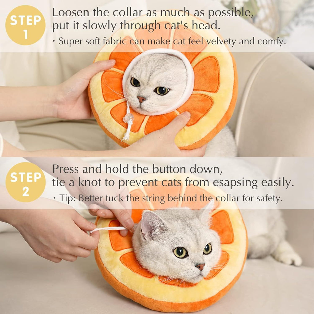 Cat wearing a cone-shaped recovery collar with instructions on how to put it on.