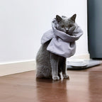 Cat wearing a gray hooded garment on a wooden floor.