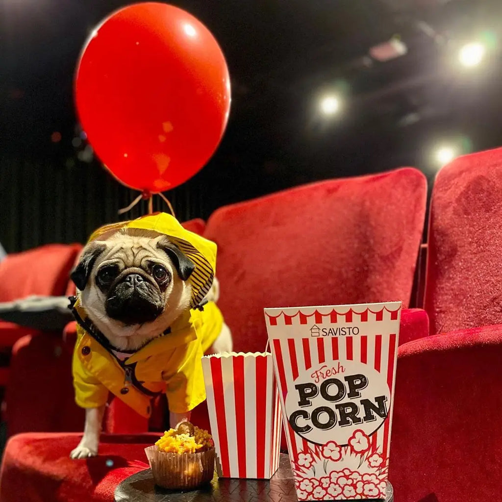 Waterproof Dog Raincoat – Pet Jacket for Small to Large Dogs