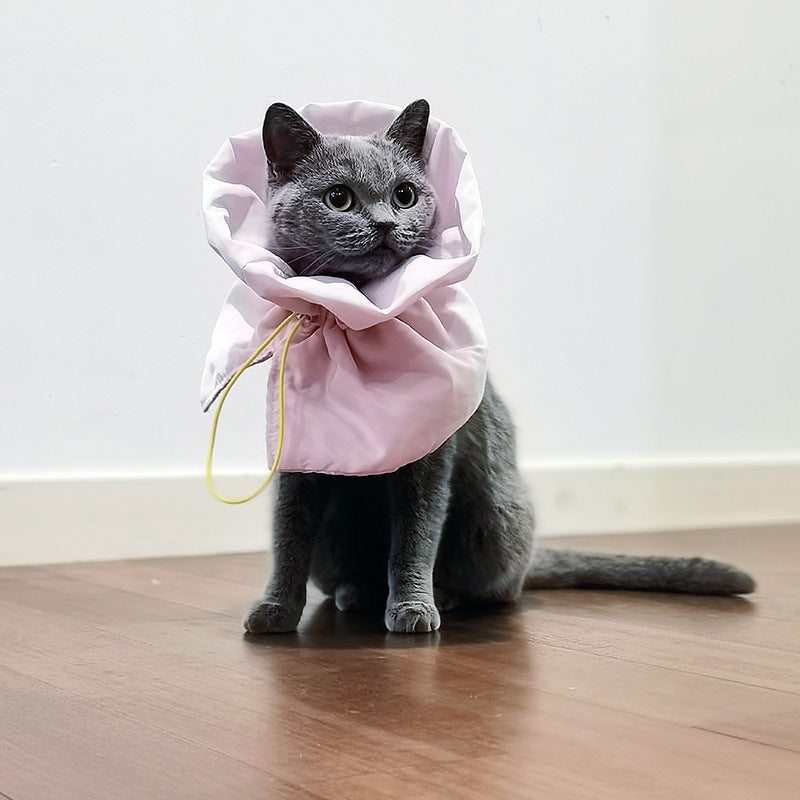 Cat wearing a pink hoodie on a wooden floor with a white wall background