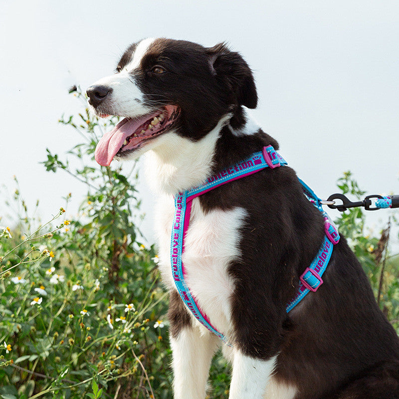 Truelove Reflective No Pull Dog Harness