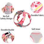 Dog harness with features highlighted on a white background