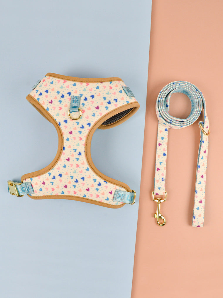 Lovesea Harness and Leash Set for Medium &amp; Large Dogs