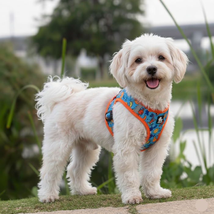 Truelove Easy Fit Reflective Pet Harness – Quick-Release & Dual D-Ring Design