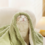 Cat wrapped in a green towel on a soft surface