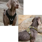 Premium Waterproof CORDURA® Reflective Dog Harness with Duraflex® Buckles